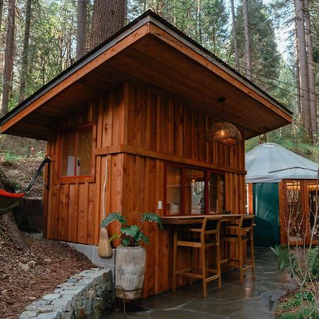Hotel Magical Yurt In The Woods - 2 Miles From Town à Nevada City Extérieur photo