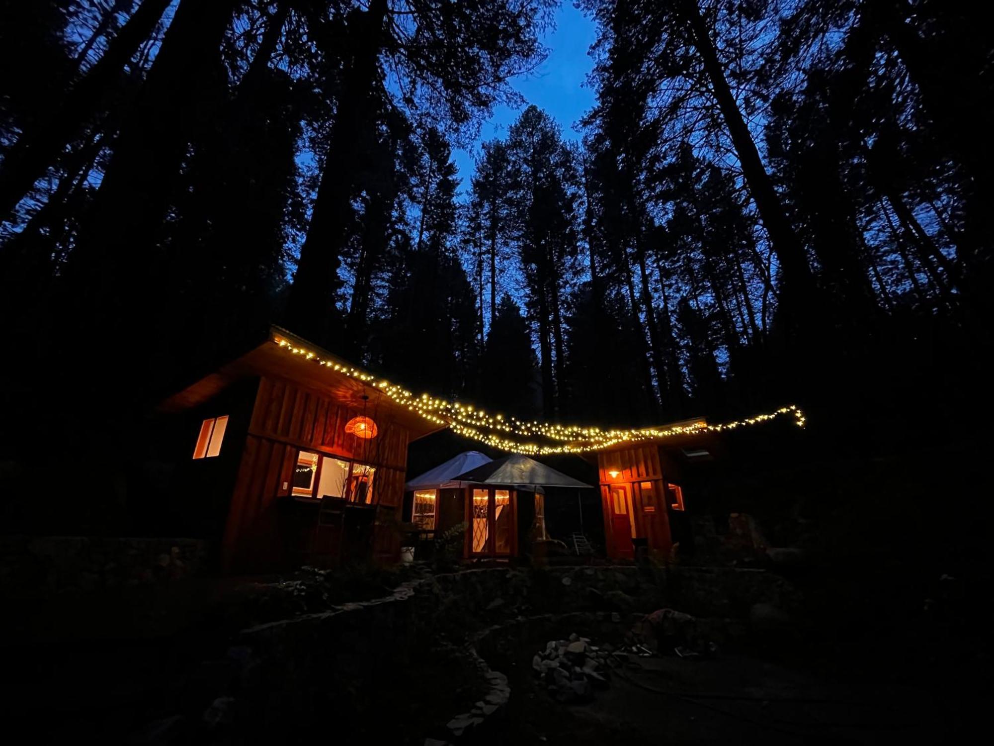 Hotel Magical Yurt In The Woods - 2 Miles From Town à Nevada City Extérieur photo