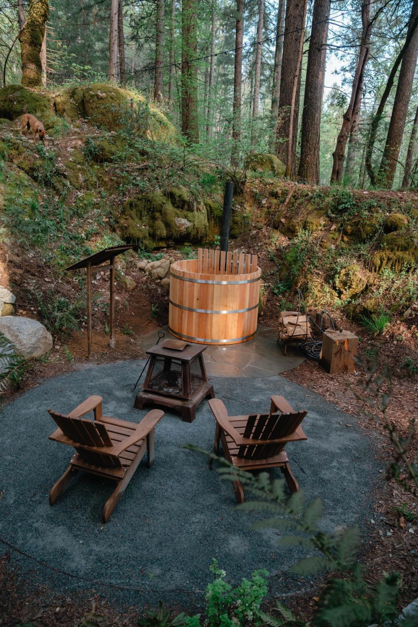 Hotel Magical Yurt In The Woods - 2 Miles From Town à Nevada City Extérieur photo