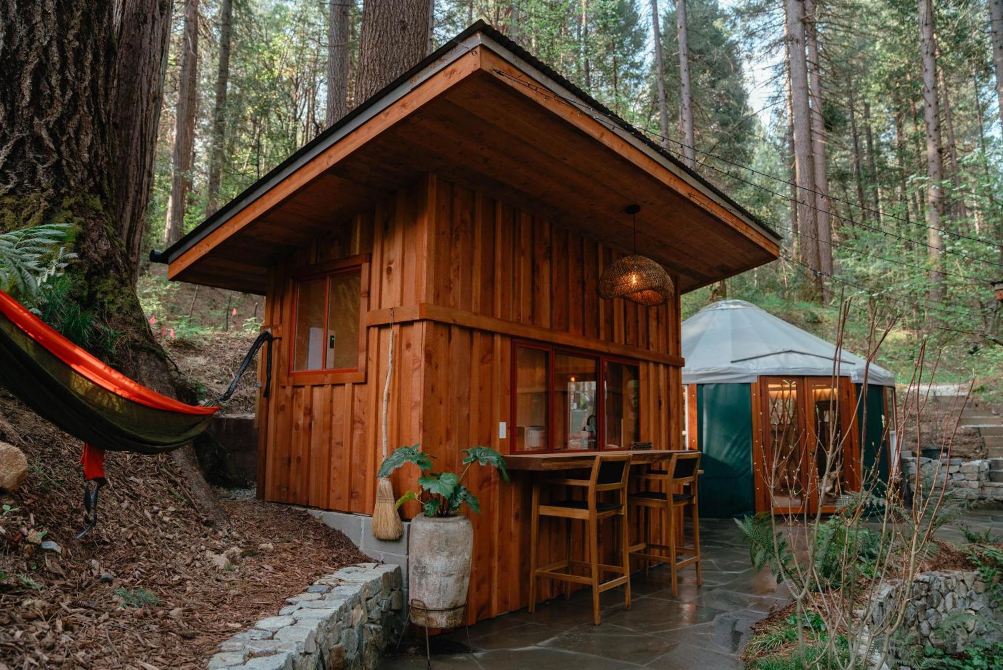 Hotel Magical Yurt In The Woods - 2 Miles From Town à Nevada City Extérieur photo